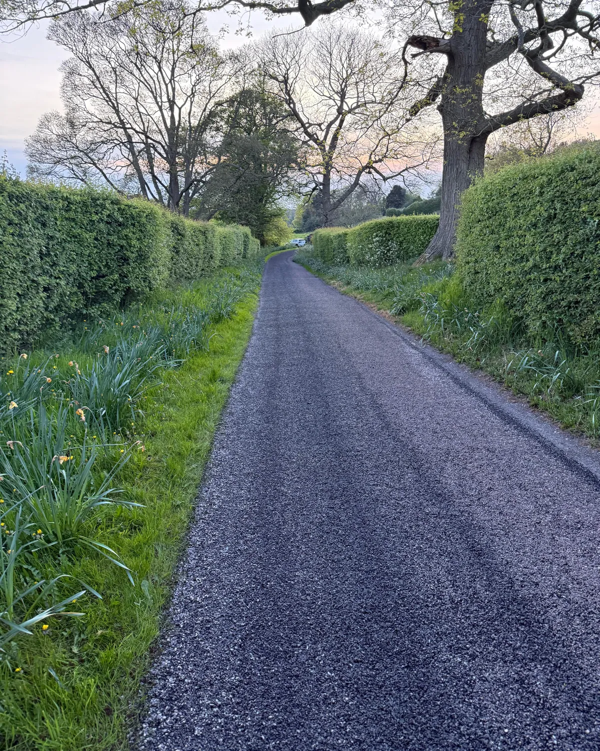 Farm Tracks after surface dressing