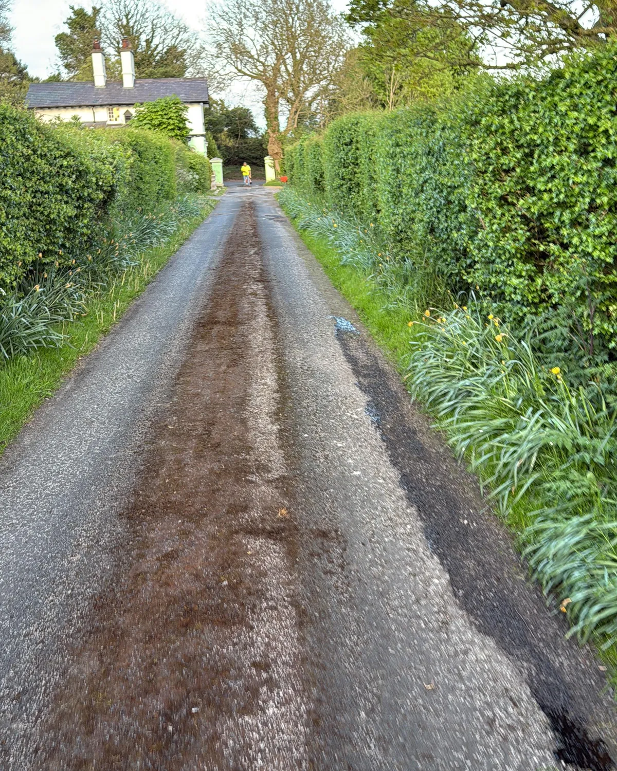 Farm Tracks before work